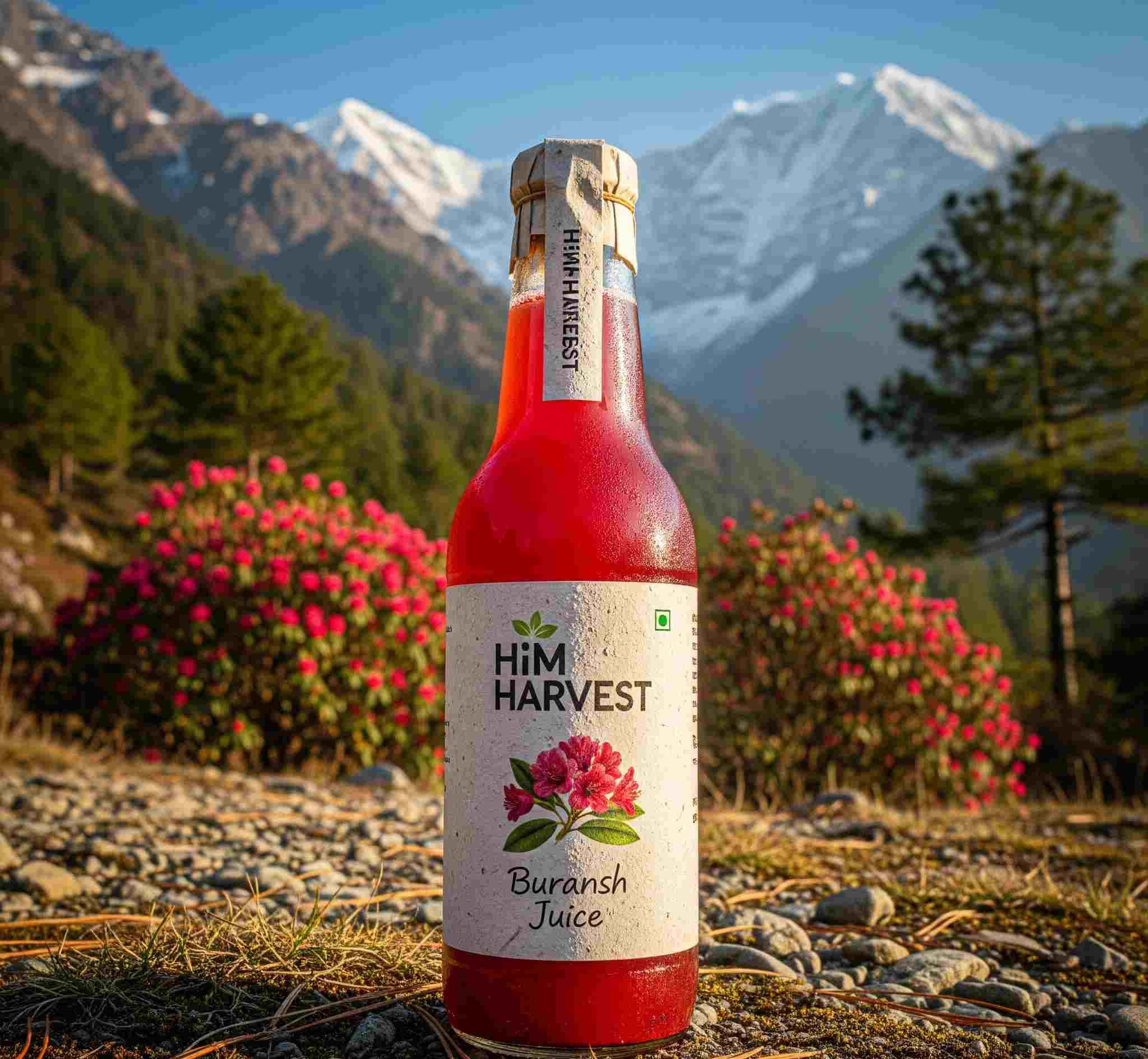 Buransh Juice by Him Harvest. A Natural Drink from the Mountains.