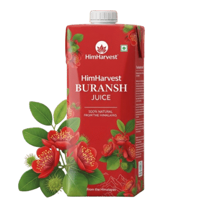 Tetra pack of HimHarvest Buransh Juice with rhododendron flowers – best natural Himalayan health drink for immunity, energy, and wellness.